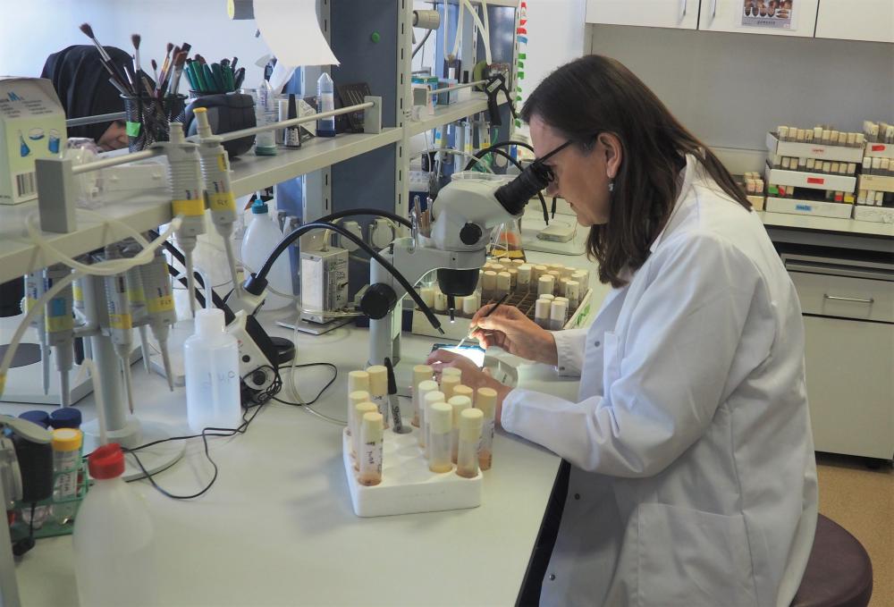 Boğaziçi Üniversitesi'nde zihinsel hastalıkların genetik mekanizması araştırılıyor